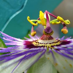 2014 06 24 20 08 28  Kopie 