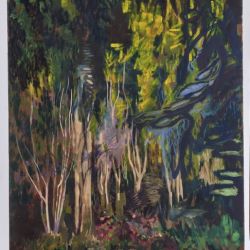 220224 gp maerchenwald 1kopie