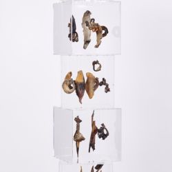 220224 gp zyklisch v 2